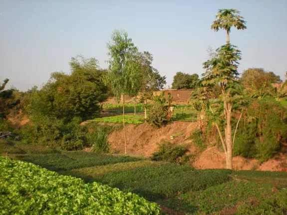 Burkina Faso