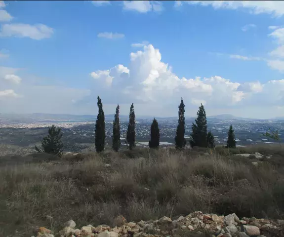CISJORDANIE.png