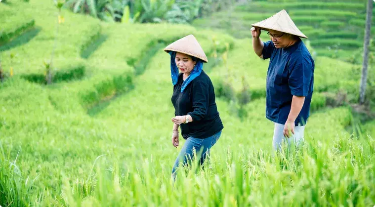 Agriculture et environnement
